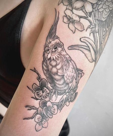 Tattoos - Sadie Gabrielle Cockatiel Portait - 144562